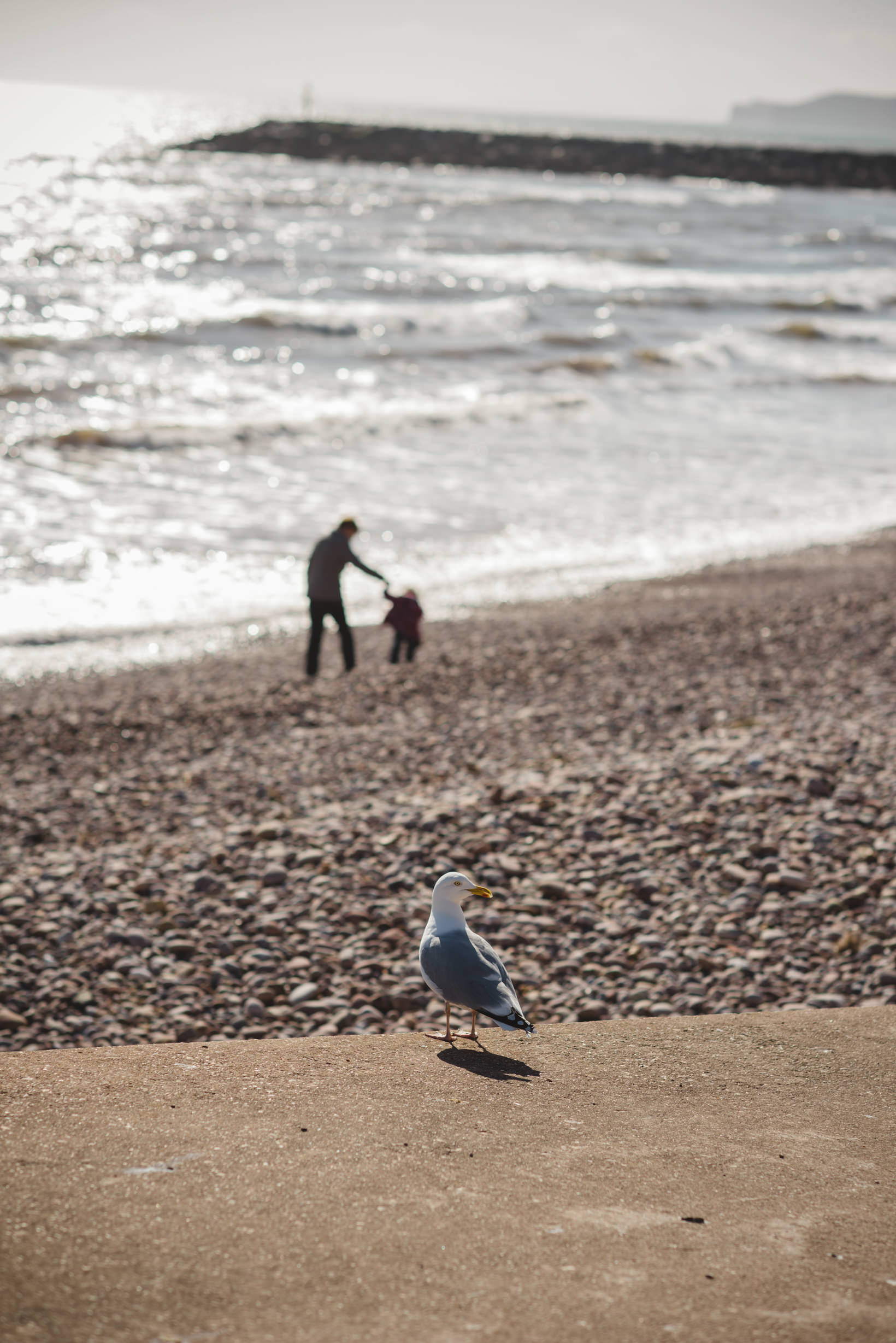 Sidmouth Wedding Photography Engagement shoot