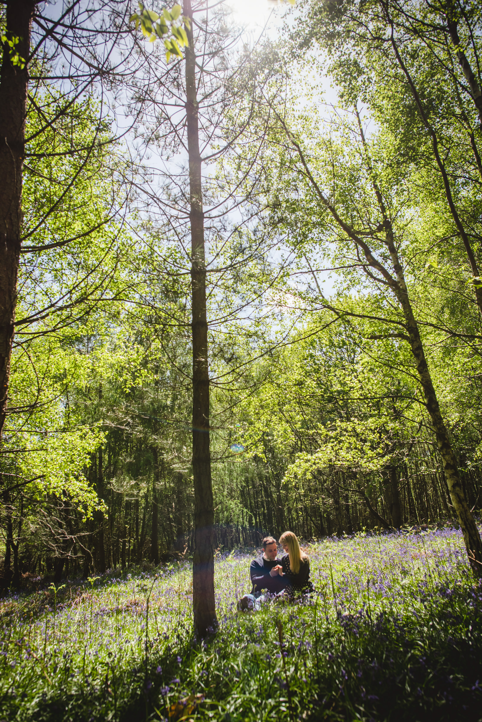 Surrey Wedding Photography Ashdown Park Hotel Engagement