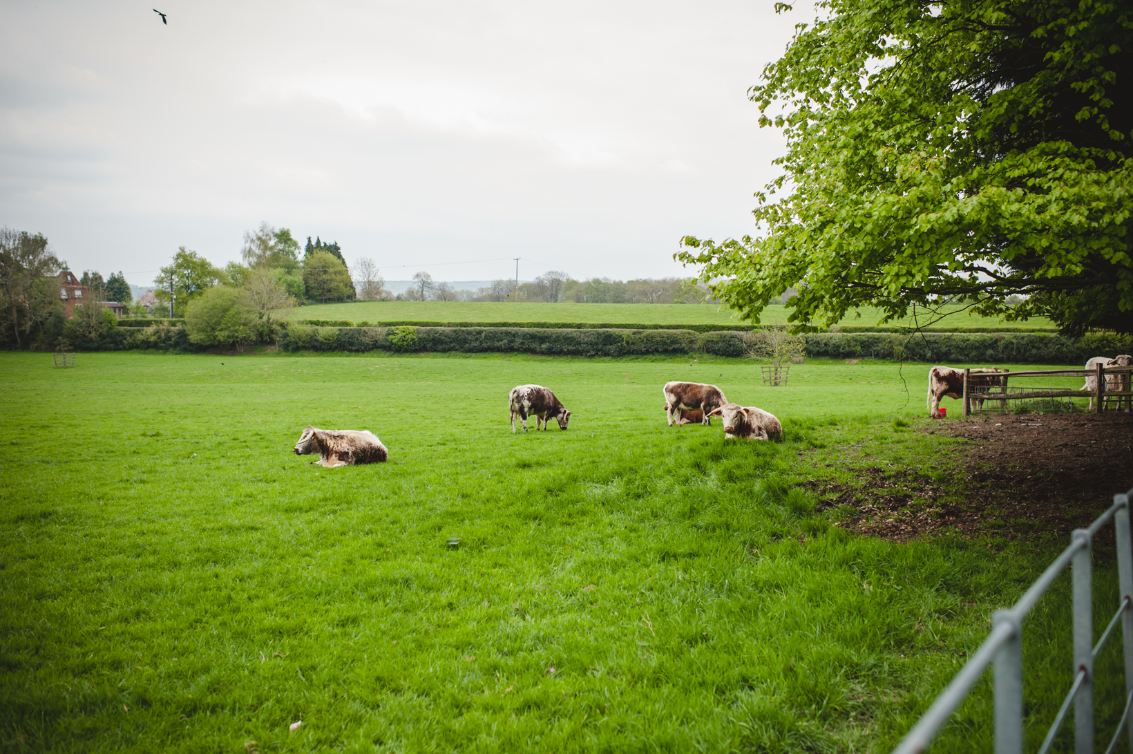 Surrey Wedding Photographer Gate Street Barn Nikki Andy