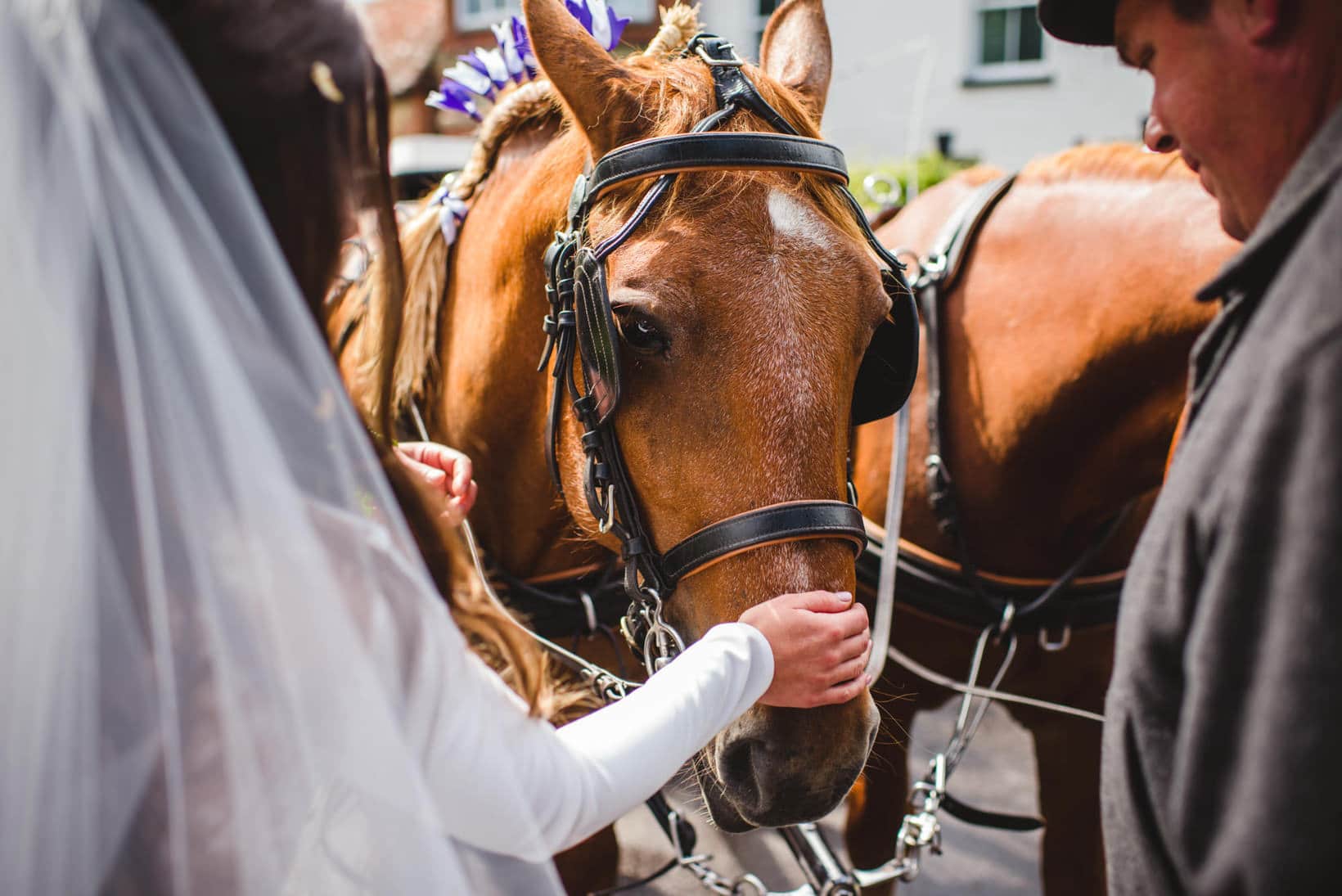 Farnham Farm Wedding Surrey Wedding Photography