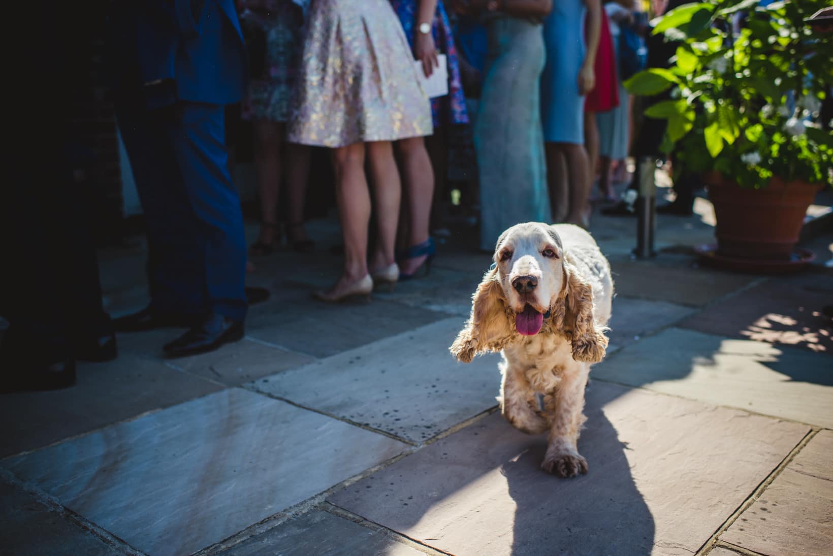 Surrey Wedding Photography Country Vineyard Wedding