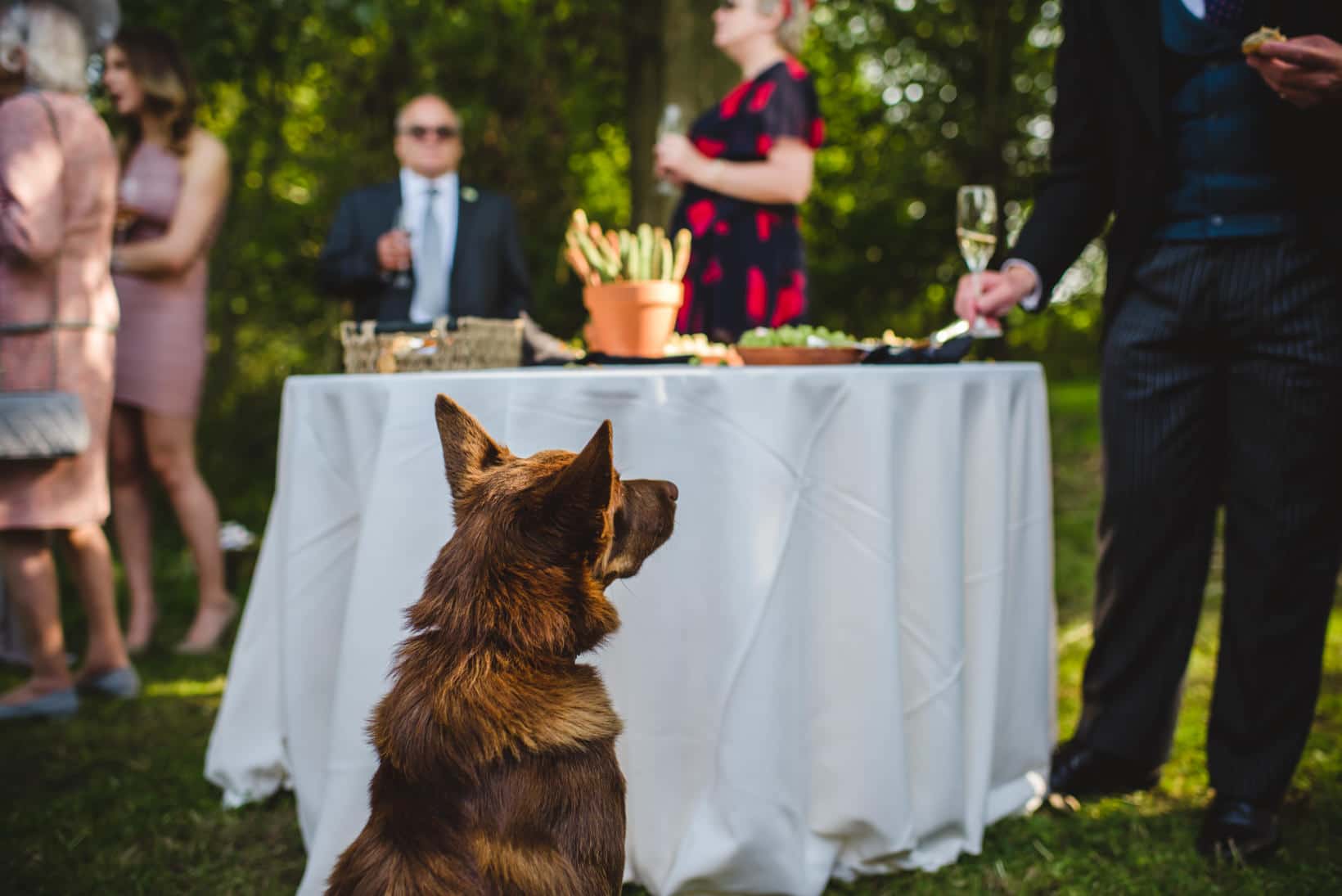 Lucinda Oliver Nutbourne Vineyard Wedding Sussex Wedding Photography