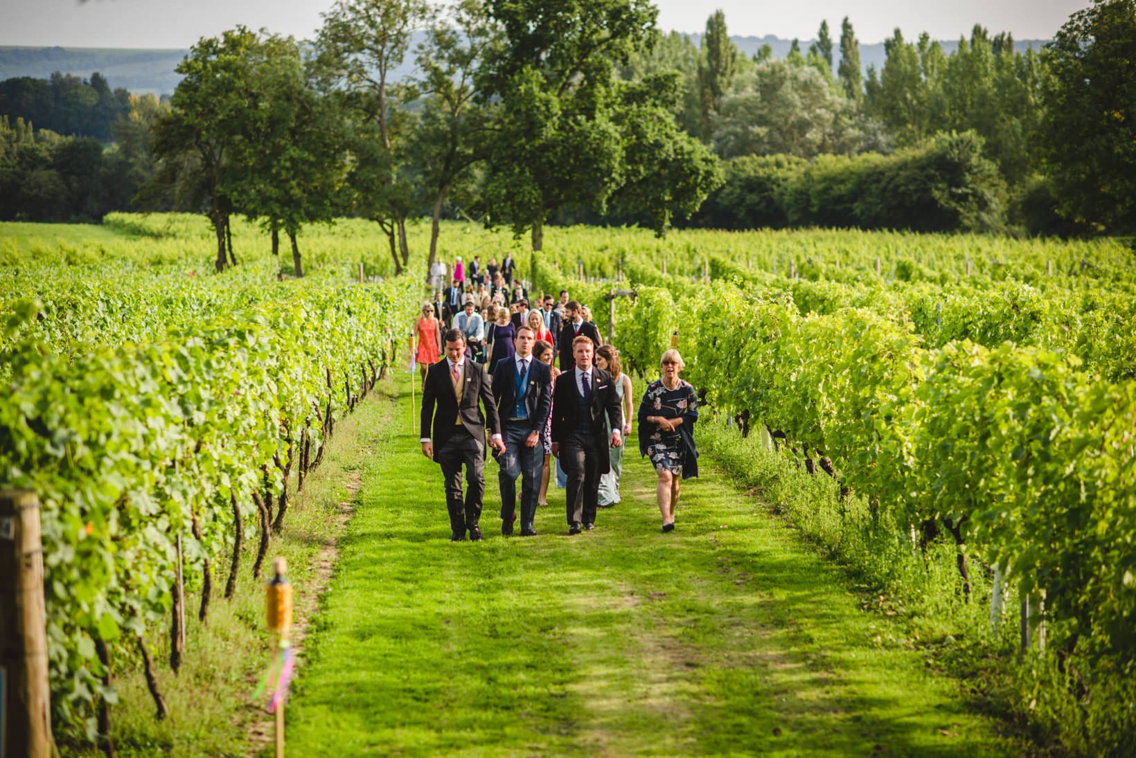 Lucinda Oliver Nutbourne Vineyard Wedding Sussex Wedding Photography