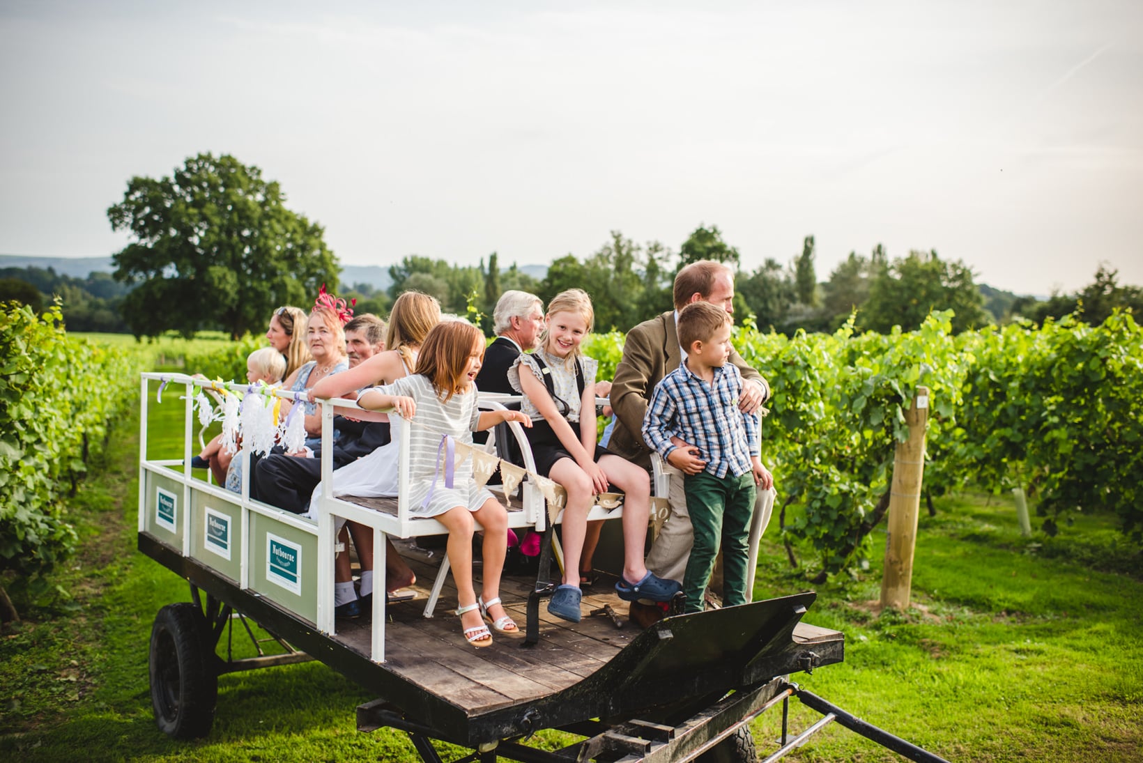 Lucinda Oliver Nutbourne Vineyard Wedding Sussex Wedding Photography