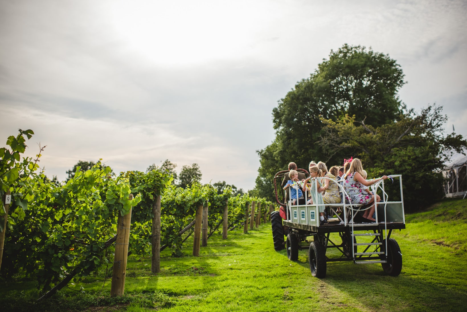 Lucinda Oliver Nutbourne Vineyard Wedding Sussex Wedding Photography