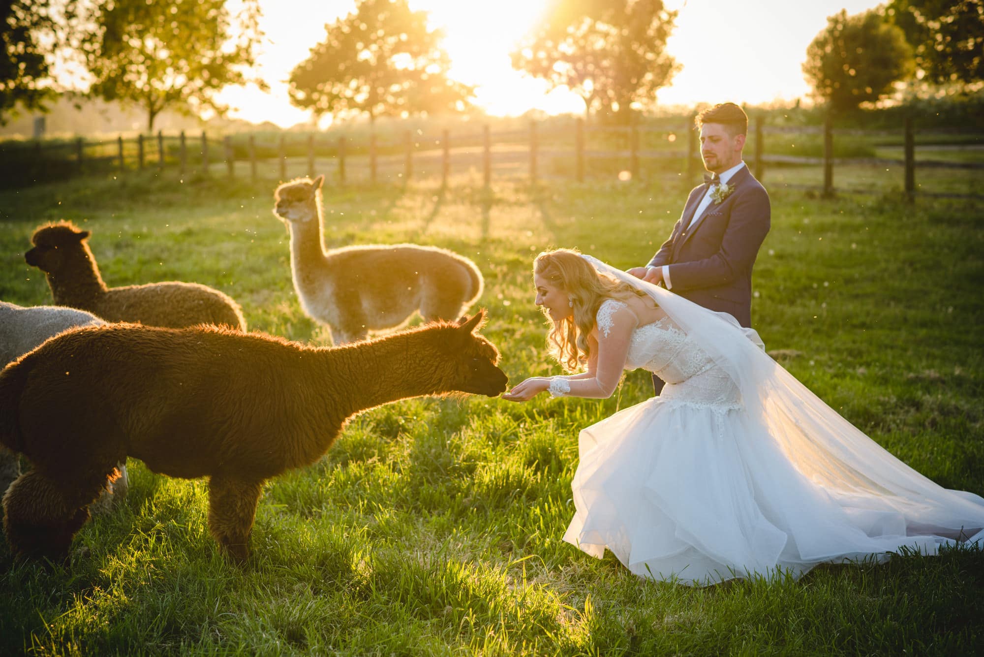 Best Surrey Wedding Photographer 2018 Sophie Duckworth