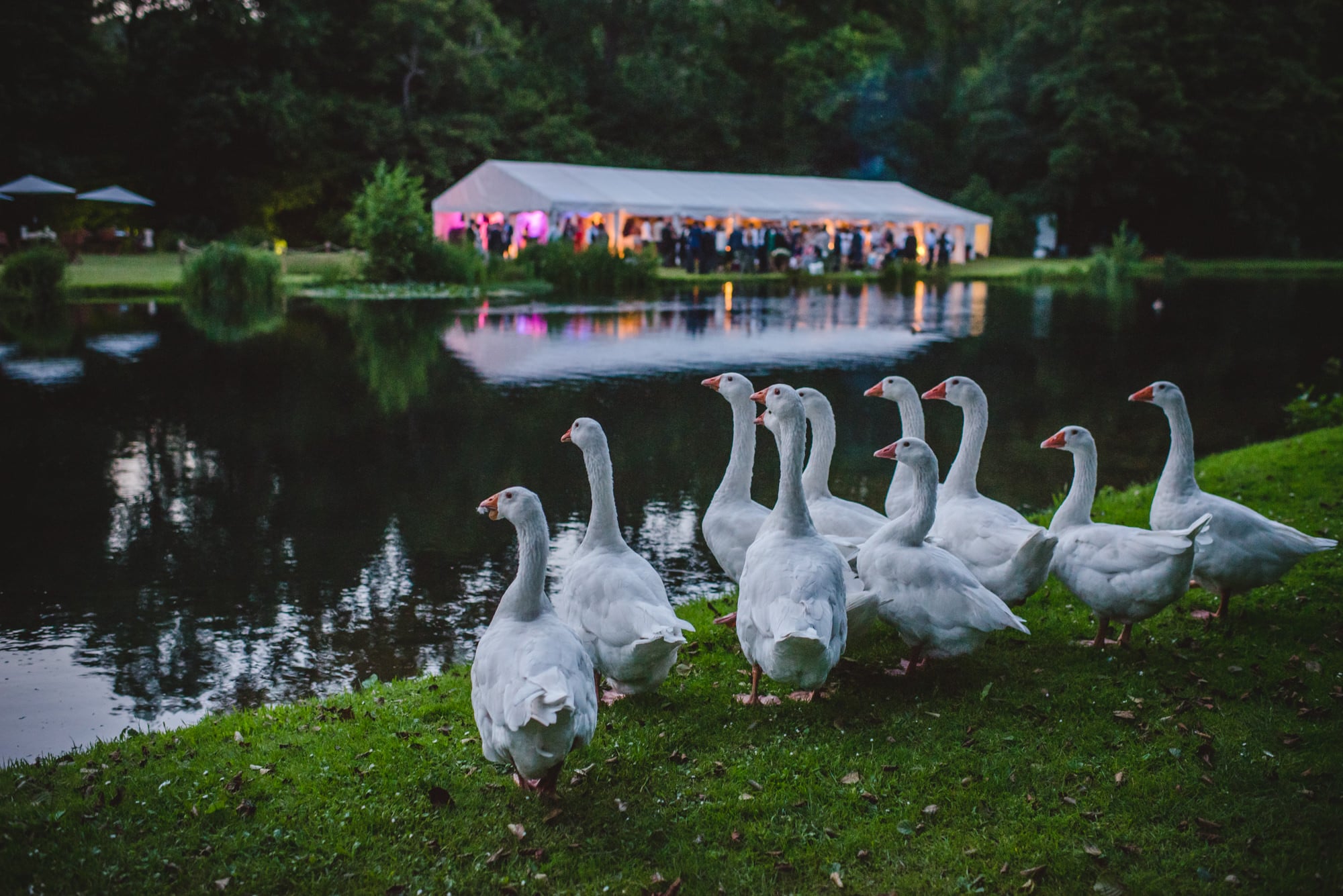 Kate Tom Chilworth Garden Wedding Sophie Duckworth Photography