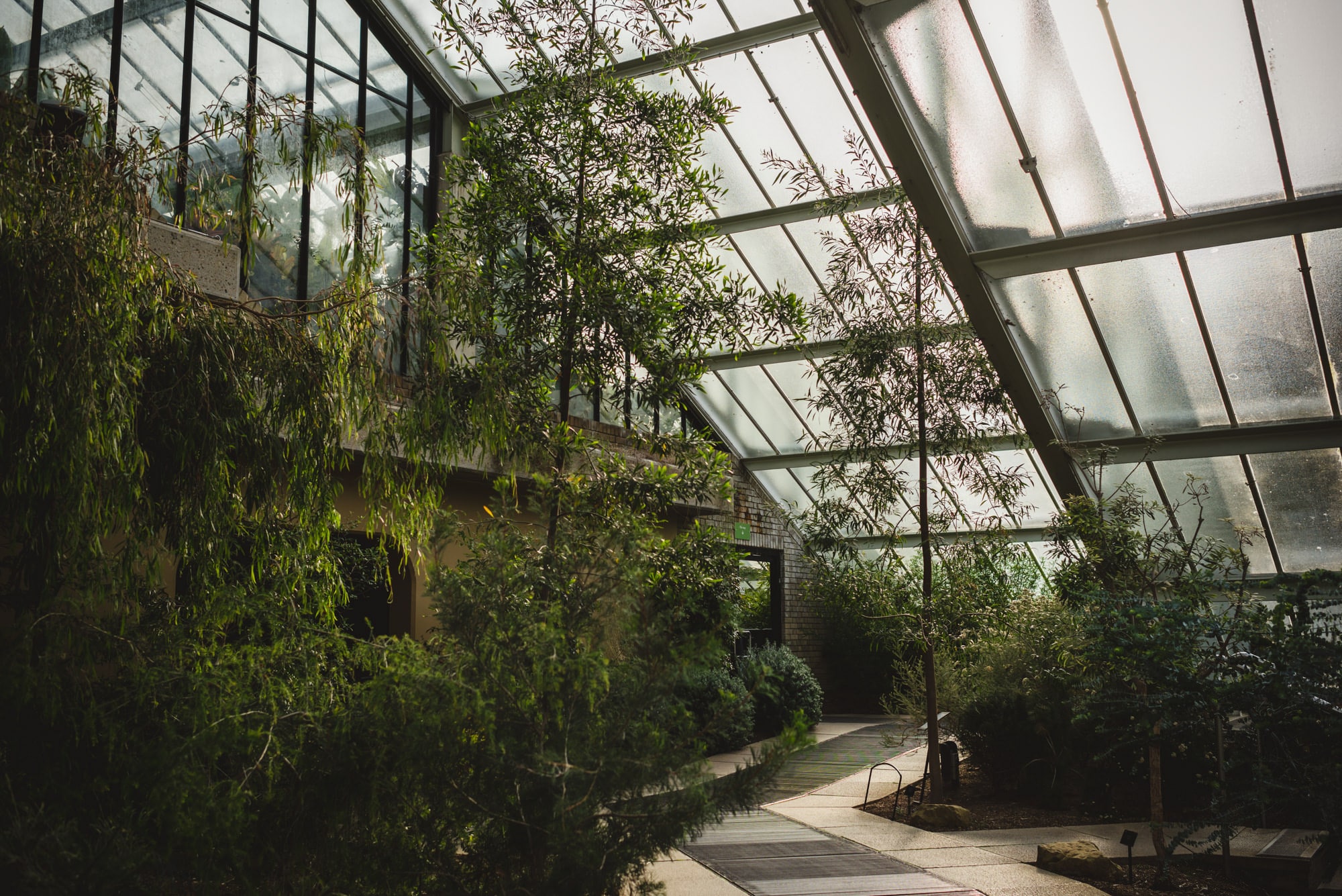 Charlotte Adam Kew Gardens Wedding Sophie Duckworth Photography