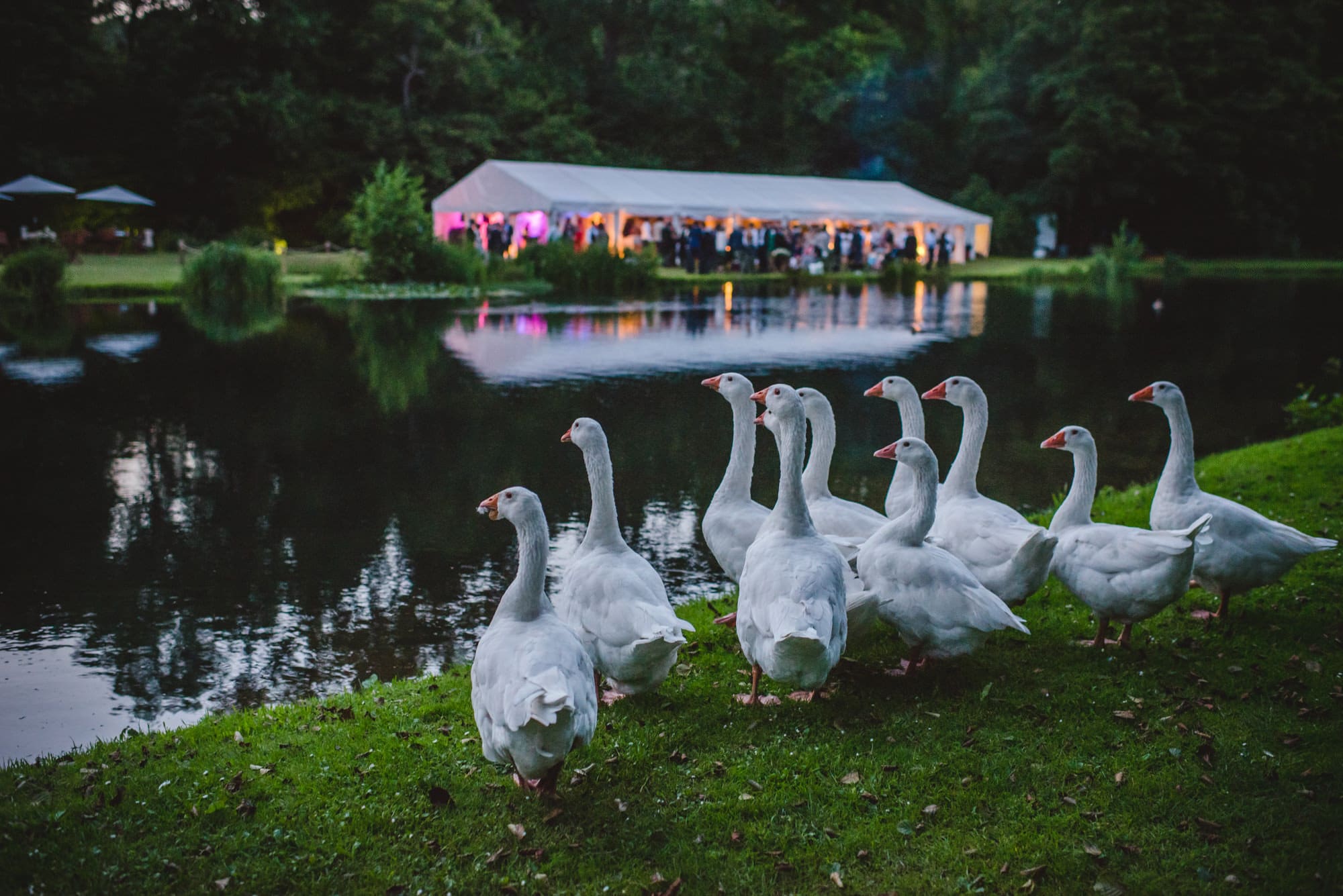 Best Surrey Wedding Photography Sophie Duckworth Photography