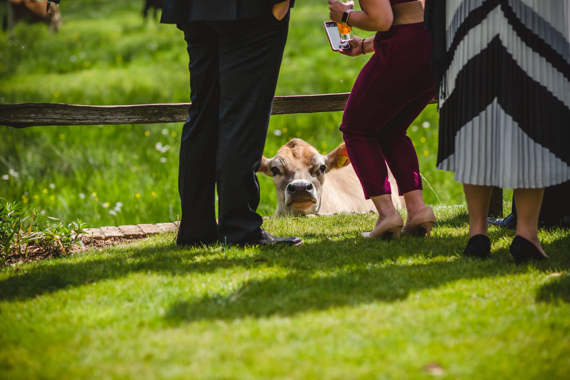 Millbridge Court Wedding Photography Sophie Duckworth Photography