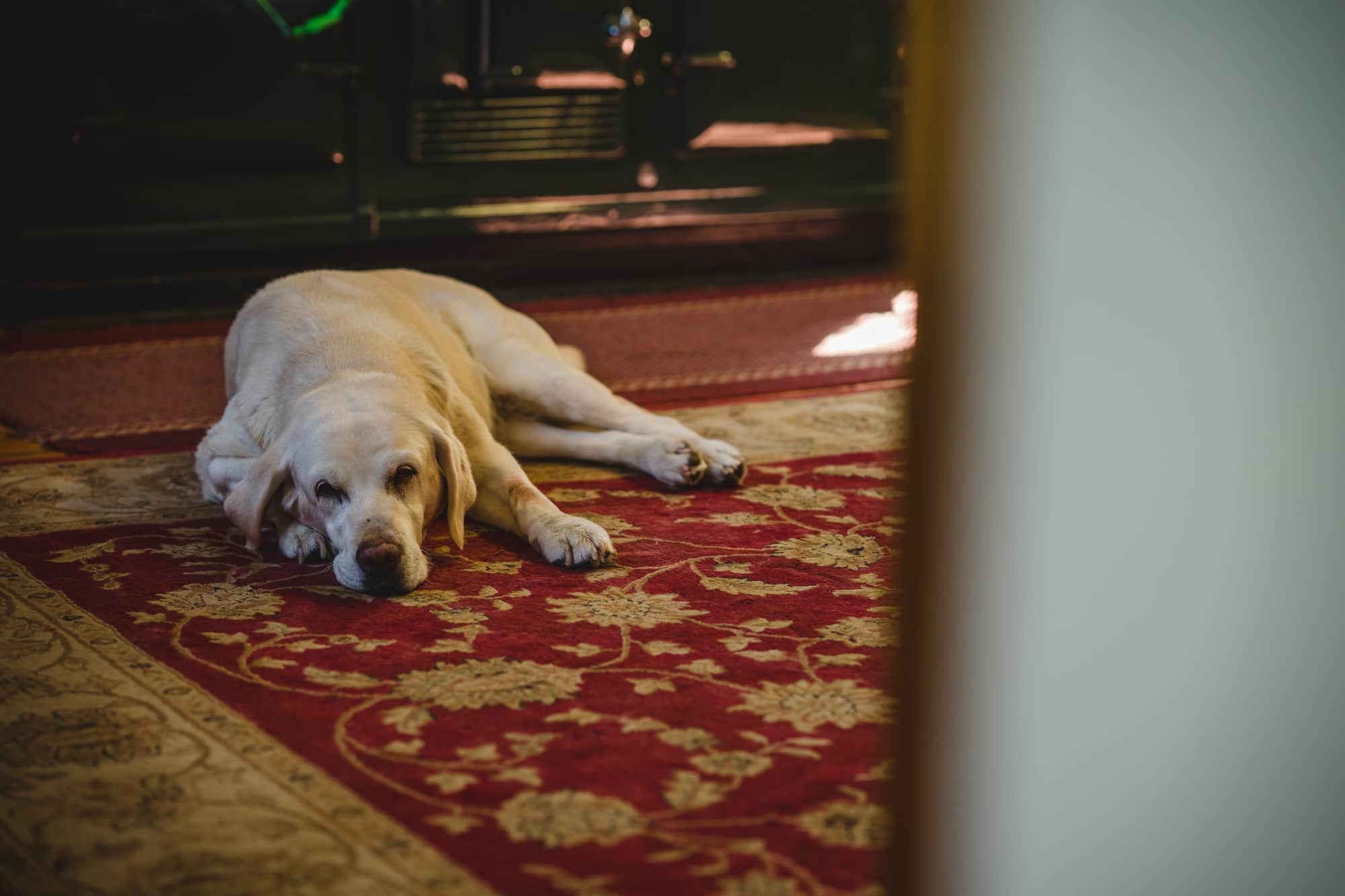 Beth Rob Previews Yorkshire Wedding Sophie Duckworth Photography