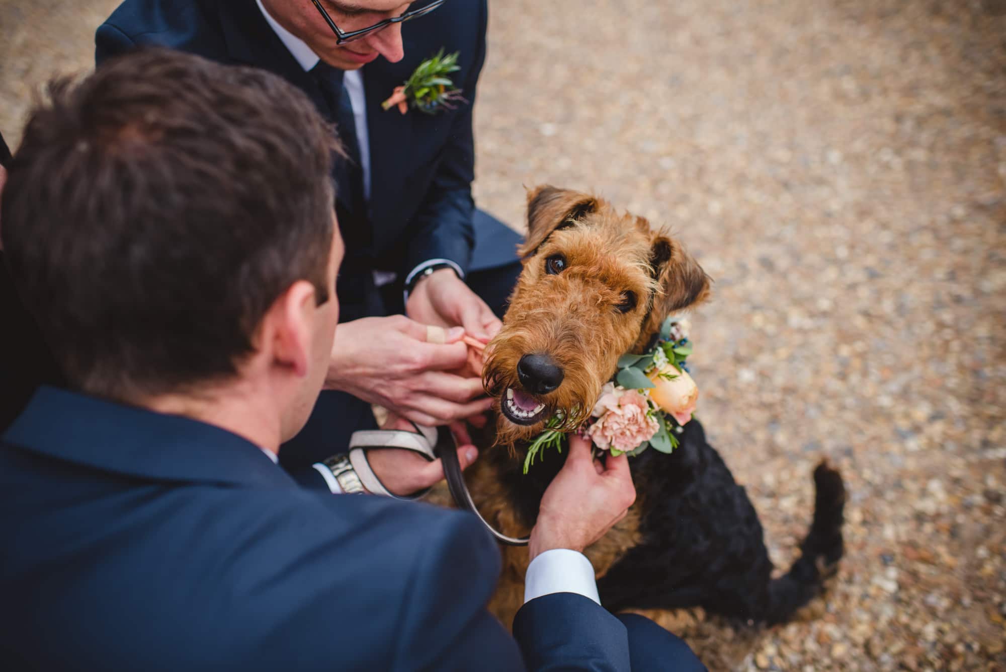 Marc Sara Hampshire Barn Wedding Sophie Duckworth Photography